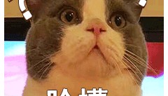 紧急提醒！新型社保卡骗局来袭，务必警惕！