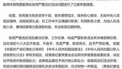 安徽萧县县委教育工委原委员、萧县教育体育局原副局长张朔被开除党籍和公职