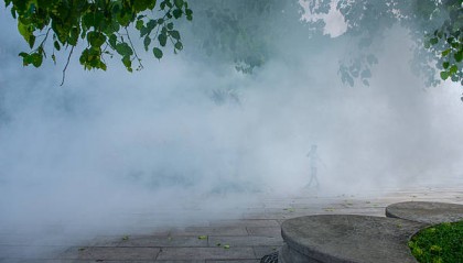 连续灭蚊70多天 有基层员工在网上诉苦