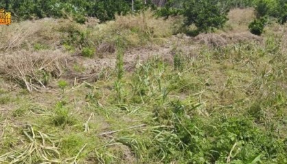 “被偷光了!”浙江有人报警,民警上门一看惊呆:整整100多斤…