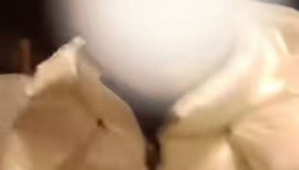 呼和浩特男子打车抽烟被阻拒付钱自称“公职人员”！当地回应