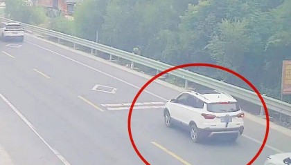 司机将两只老鼠挂后窗雨刮器上：“回家给猫吃”，交警：遮挡车牌扣9分