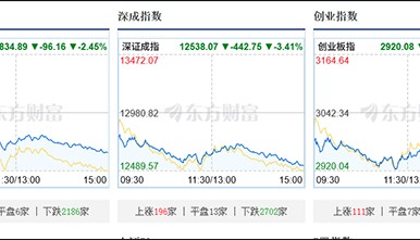 沪指放量调整跌2.45%，全市场下跌个股约5100只