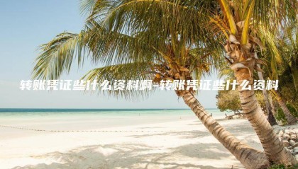 转账回执单和汇款回单的主要区别？转账凭证的用途和功能。‌