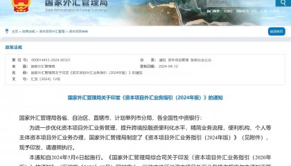 国家外汇局发布新版资本项目外汇业务指引