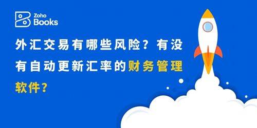 外汇风险管理：自动更新汇率的财务管理软件推荐