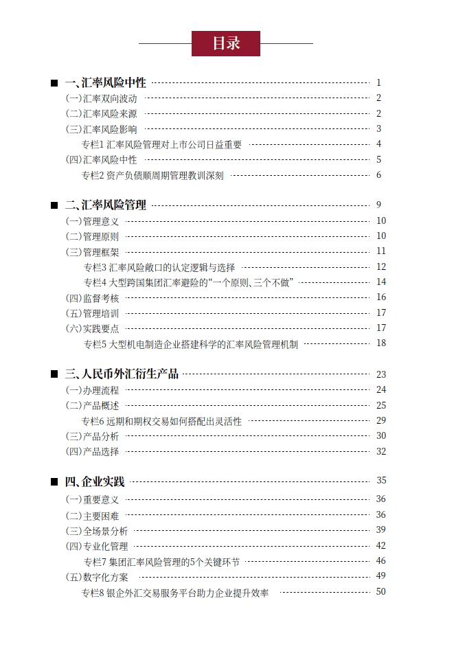 企业汇率风险管理指引（2024年版）-国家外汇管理局