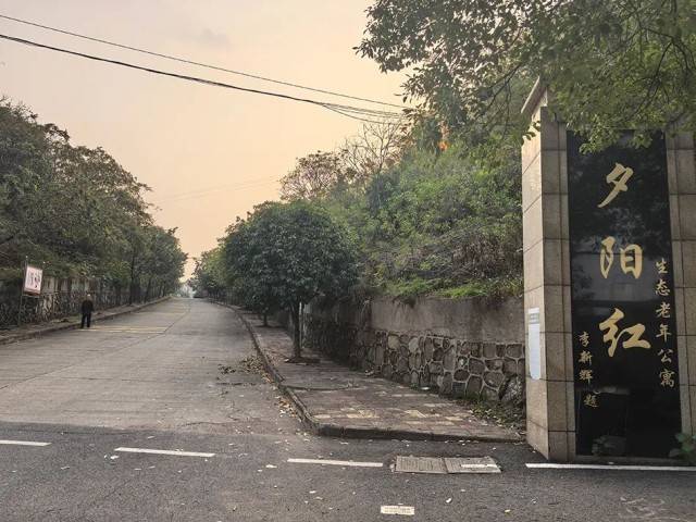 夕阳红公寓爆雷：一场疯狂的庞氏骗局走向崩塌