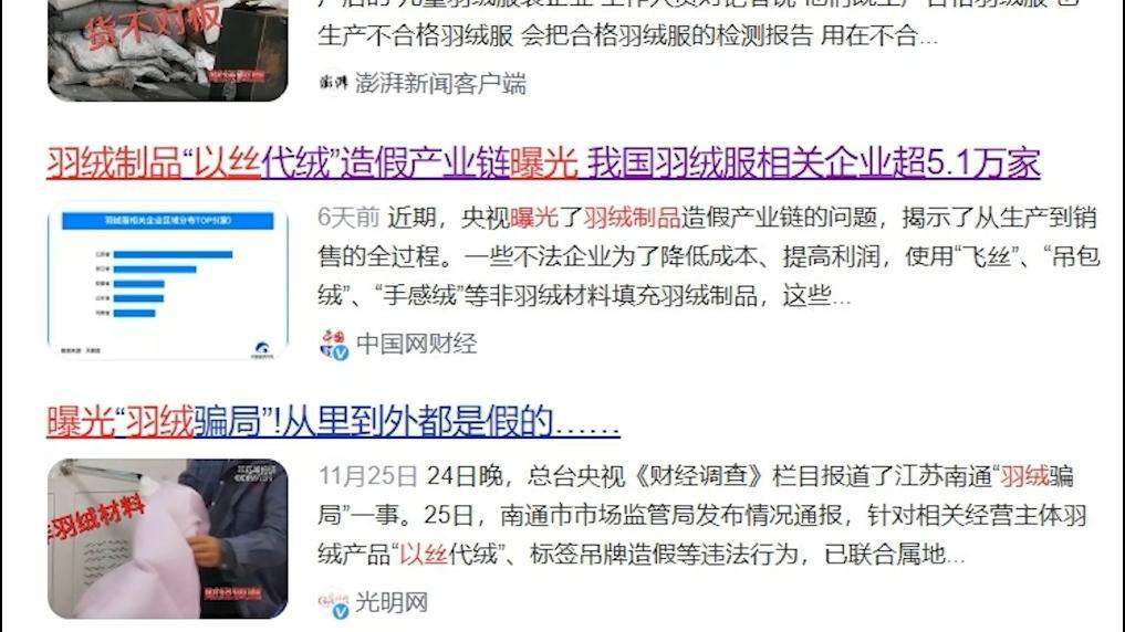 羽绒服“假绒”乱象调查：“羽丝”“绒丝”到底是什么？