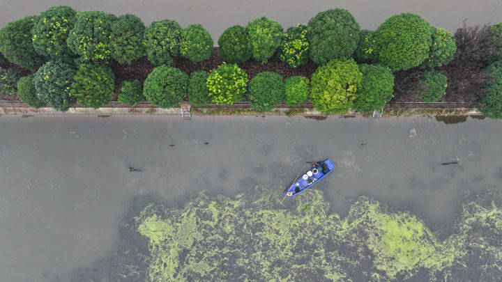 四中全会精神在基层|锚定高质量发展,书写中部崛起新篇章