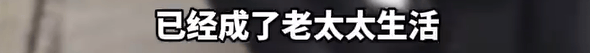 养了四年的宠物鸭被汽车碾死,老太太当街包鸭痛哭,目击者:她老伴重病,鸭子是用来祈福的