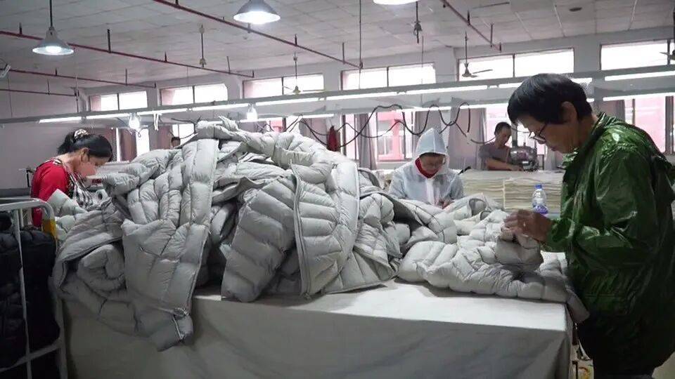 月入15000-20000元!浙江这一职业吃香,网友:真的很辛苦……