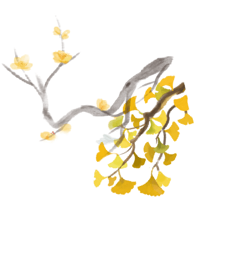 【活动回顾】罗山星悦读“金秋诵章,经典有约”活动圆满落幕