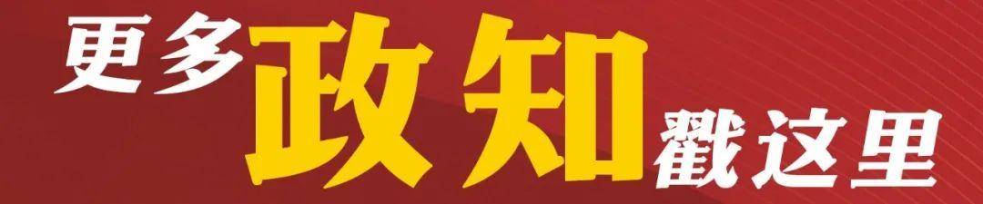 日本前议员:在我们看来,高市早苗已不具备首相资格