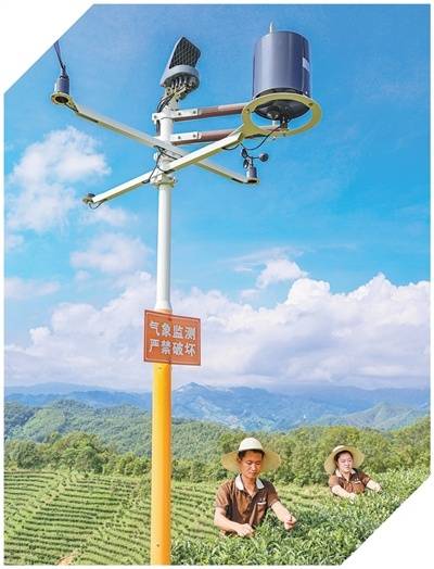 坚持“双碳”引领，推动全面绿色转型（稳中求进、提质增效 实现“十五五”良好开局）