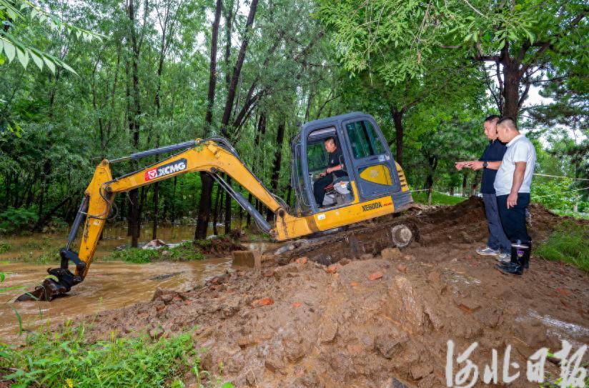 唐山市迁西县旧城乡龙王庙村:清淤排险,为群众筑起“安全坝”