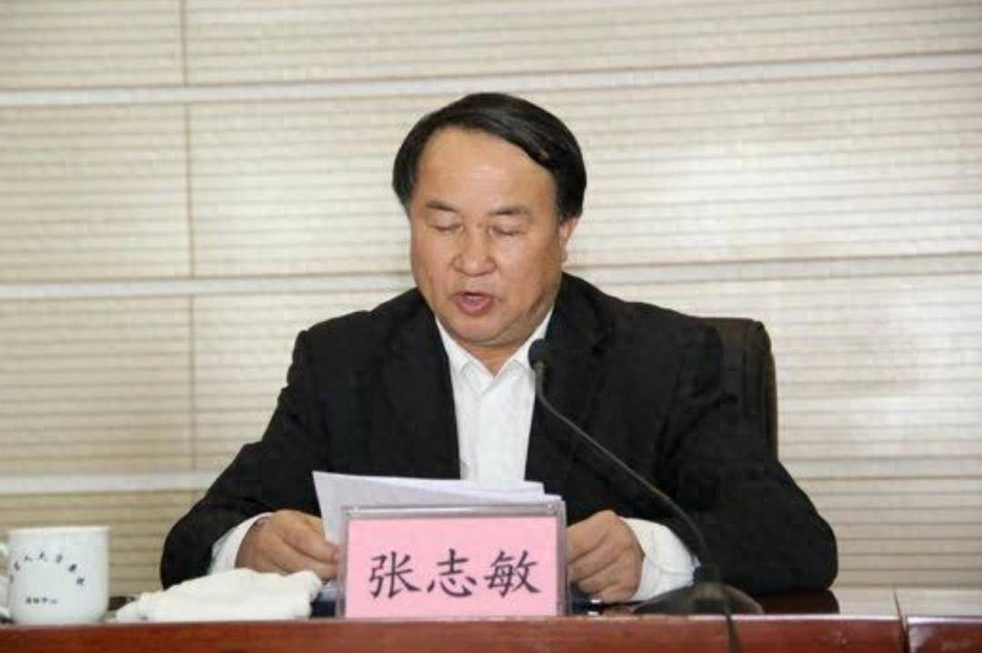 正厅级张志敏,被查